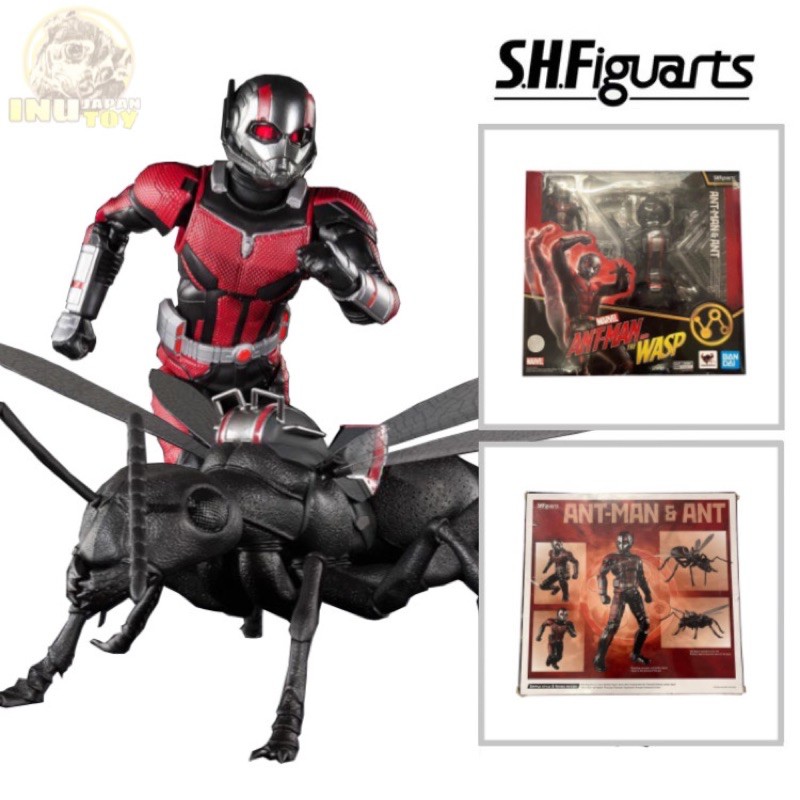 [ของแท้] S.H.Figuarts Ant-Man and the Wasp &amp; Ant Set (กล่องชำรุด)