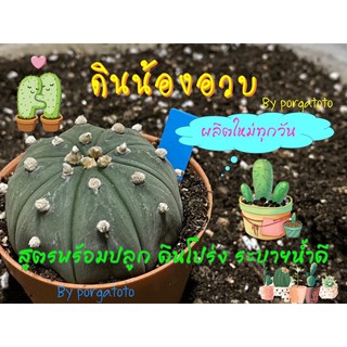 ดินแคคตัส🌵 ดินพร้อมปลูก 🌵ดินน้องอวบ 🌵ดินเก๋งจีน ดินสำเร็จ