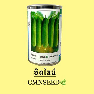 เมล็ดพันธุ์ แตงร้านพูนผล 8 Long Cucummber POONPHOL 8 ปริมาณ 100 กรัม