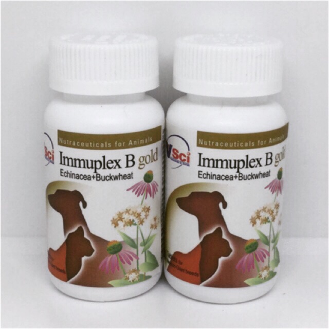 Immuplex B Gold ขวดละ 60 เม็ด จำนวน 2ขวด | Shopee Thailand