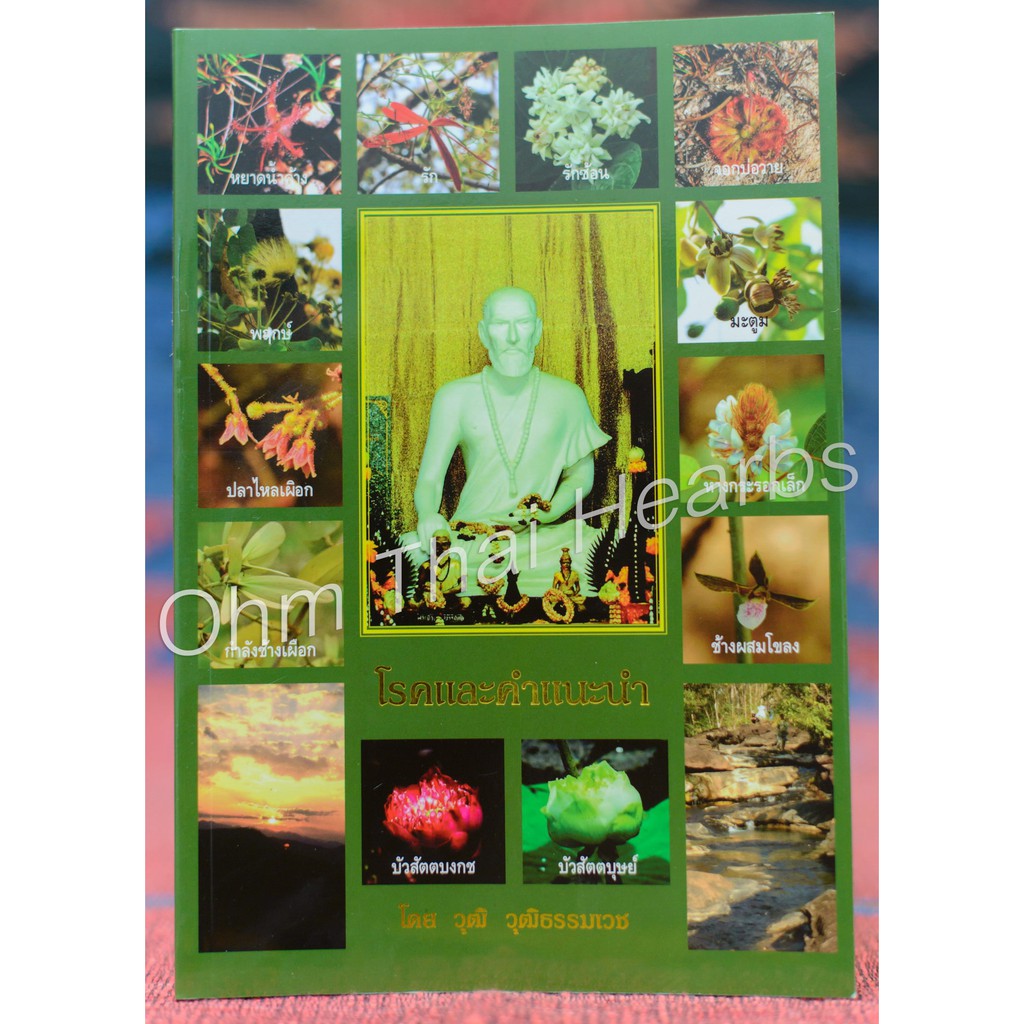 หนังสือโรคและคำแนะนำ เรียบเรียงโดย วุฒิ วุฒิธรรมเวช ขนาดหนังสือ A5 จำนวน 118 หน้า