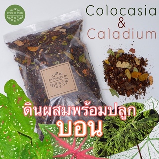 ดินผสมพร้อมใช้ สูตร 7 บอน (Colocasia) บอนสี (Caladium)  Pasom Garden -  ดินปลูกต้นไม้ วัสดุปลูกปรุงสำเร็จ Aroid Soil