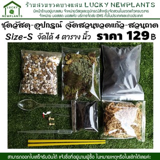 ชุดจัดสวนถาด ชุดจัดสวนขวดแก้ว DIY ชุดประหยัด129 บาท