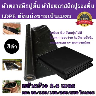 แหล่งขายและราคาผ้าพลาสติกปูพื้น LDPE หน้ากว้าง 3.6ม. สีดำ ผ้าใบพลาสติกปูรองพื้น ตัดแบ่งขาย/เมตร หนา80/120/150/200/250 ไมครอน ผ้ายางอาจถูกใจคุณ