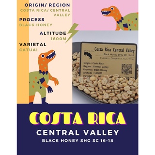 พร้อมส่ง เมล็ดกาแฟดิบ Costa Rica Central Valley Black Honey process/ เมล็ดกาแฟนอก/ เมล็ดกาแฟสารคอสตาริกา