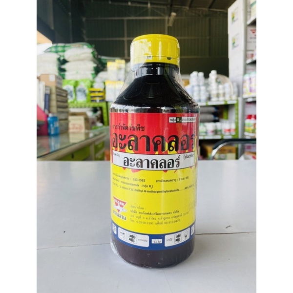 อะลาคลอร์-ซ๊าค : ชื่อสามัญอะลาคลอร์48%EC(ยาคุมวัชพืชในแปลงผักต่างๆ)