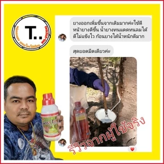 พาราไวท์ฅนขี่ม้าเพิ่มน้ำยางไม่มีสารเร่งปุ๋ยน้ำเพิ่มผลผลิตต้นสมบูรณ์ธาตุเสริมรส.2111185/2565กรมวิชาการเกษตร(หนุ่มทองแดง )