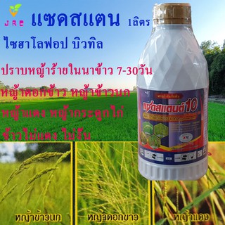 แซดสแตนต์ 1ลิตร สารไซฮาโลฟอป บิวทิล สารกำจัดวัชพืชใบแคบ เช่น หญ้าดอกขาว หญ้าข้าวนก หญ้าแดง หญ้าลิเก หญ้าหางหมา หญ้ากอ