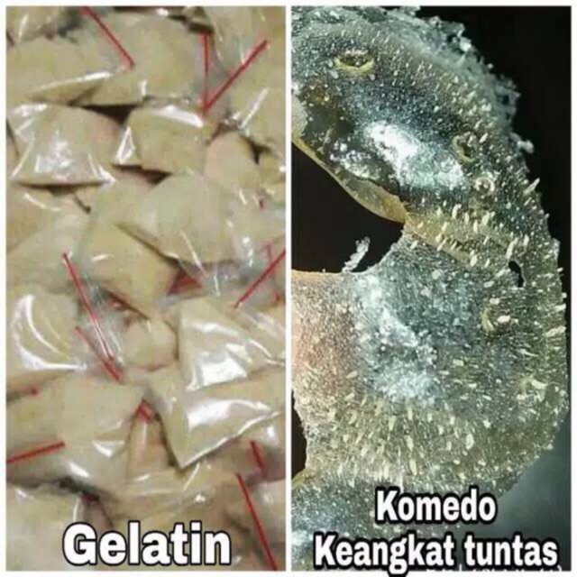 Gelatin มาส์กหน้า / Halal / แปรงกําจัดสิวเสี้ยน / สิวเสี้ยน / 3gr / Gelatin