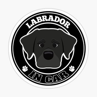 สติ๊กเกอร์ติดรถ แต่งรถ สติ๊กเกอร์ แม่เหล็กติดรถยนตร์ สติ๊กเกอร์หมา Labrador in Car  - DGC40