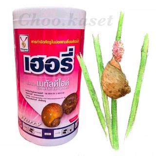 เฮอรี่ เมทัลดีไฮด์ 6% GR) ยาฆ่าหอย กำจัดหอยทุกชนิด 1 กิโลกรัม