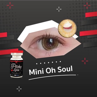 💋Mini Seoul : Pitchy Lens ขนาดมินิ