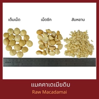 แมคคาเดเมียดิบ Raw Macadamia