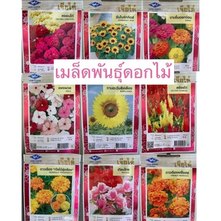 เมล็ดพันธุ์ดอกไม้หลากหลายชนิด🌺 (ซื้อ10ซองแถมปุ๋ยบำรุงการออกดอก ฟรี✨)