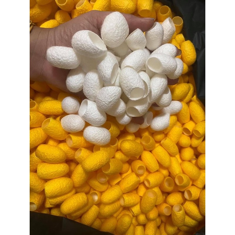 รังไหมธรรมชาติขัดผิวหน้า [ รังละ3บาท=1ห่อมี 10รัง ] รังไหมสีขาวพันธุ์ญี่ปุ่น&สีเหลืองพันธุ์ไทยไพโรจน์