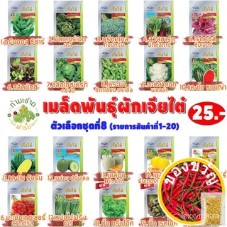 เมล็ดอวบอ้วน100%[10แถม2] เจียไต๋ เมล็ดพันธุ์ ถั่วฝักยาวนิโกร Yard long bean ประมาณ 70 เมล็ด ตราเจียไต๋ เมล็ดพันธุ์ผัก เม