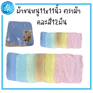 ยกโหล ผ้าขนหนูตราหัวม้า 11x11นิ้ว คละสี สีขาว