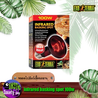 หลอดไฟให้ความร้อน  Exoterra infrared basking spot 75w