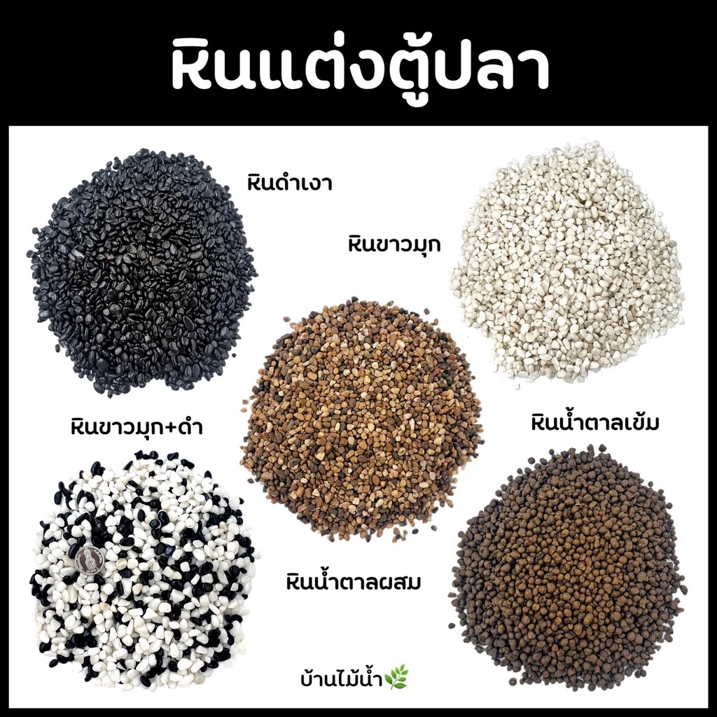 หินดำ หินขาว หินน้ำตาล หินตกแต่งตู้ปลา ตกเเต่งตู้ปลา หินตู้ปลา หินแคคตัส โรยกระถาง จัดสวนขวด | บ้านไม้น้ำ🌿