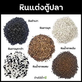 หินดำ หินขาว หินน้ำตาล หินตกแต่งตู้ปลา ตกเเต่งตู้ปลา หินตู้ปลา หินแคคตัส โรยกระถาง จัดสวนขวด | บ้านไม้น้ำ🌿