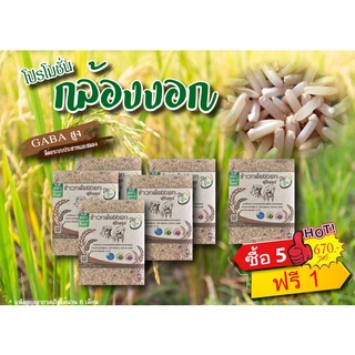 ส่งฟรี 6 กิโล ข้าวกล้องงอก GABA สูง