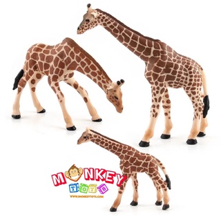 Monkey Toys - โมเดลสัตว์ ยีราฟ พ่อแม่ลูก ชุด 3 ตัว AA (จากหาดใหญ่)