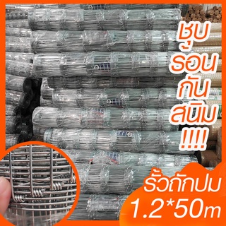 ส่งฟรี!! รั้วถักปม รั้วแรงดึง (1.2*50 เมตร) ลวดตาข่ายถักปม ลวดเหล็กล้อมรั้ว ลวดล้อมไร่สวน ลวดล้อมคอกสัตว์