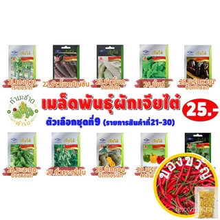 เมล็ดอวบอ้วน100%，ไทยในสต็อกพร้อมส่ง[10แถม2] เจียไต๋ เมล็ดพันธุ์ กวางตุ้งฮ่องเต้ Hongtae Pak choy ประมาณ 2,140 เมล็ด ตราเ