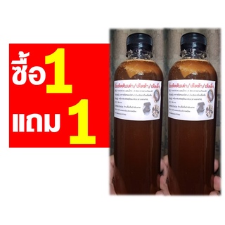 เชื้อเห็ดตับเต่าเข้มข้น (เห็ดผึ้ง,เห็ดห้า) ขนาด 500 ml. ซื้อ 1 ขวด แถม 1 ขวด