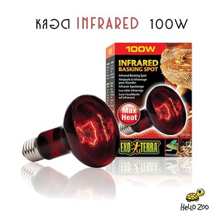 Exo Terra Infrared 100W หลอดไฟอินฟราเรด สำหรับกกไฟกลางคืน (กล่องแดง) [EX10]