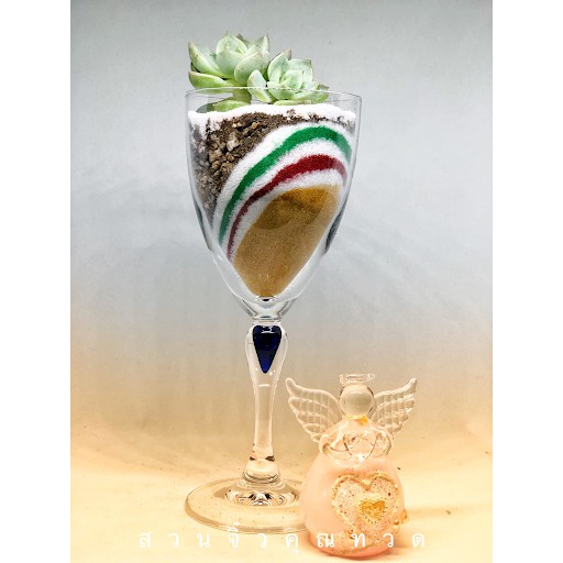 ไม้อวบน้ำ (Succulent) “กุหลาบหิน” ในแก้วไวน์