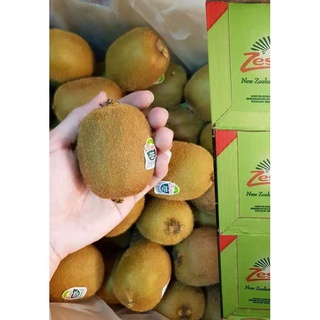 TOP-1กีวี่เขียว Green KIWI (7ลูก)~ลดพิเศษ~ Premium กีวีเขียว นิวซีแลนด์ กีวี่