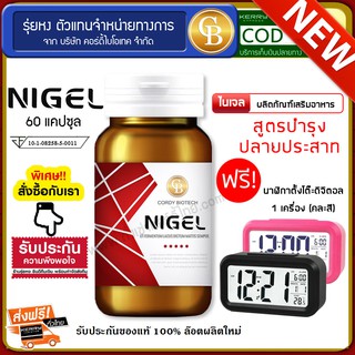 📌ล็อตใหม่ exp 4.2025 ส่งฟรี🔥 NIGEL ไนเจล สูตรบำรุงปลายประสาท (60 เเคปซูล/กระปุก) ม.เกษตร พร้อมของเเถมพิเศษ