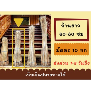 ก้านมะพร้าว ความยาว 60-80 ซมโปร 10 กิโล ก้านไม้กวาดมะพร้าวแห้ง ถวายพระ ทำบุญ ทำไม้กวาด