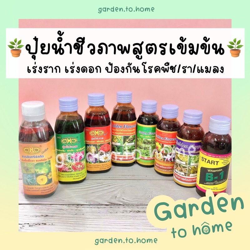 พร้อมส่ง✅🍀ปุ๋ยน้ำชีวภาพ เร่งราก เร่งดอก ป้องกันโรคพืช ป้องกันรา/แมลง วิตามินb1 ตรา Golden flower (10