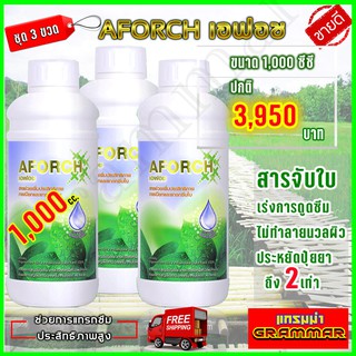 เอฟอช Aforch สารจับใบ ปุ๋ยนำ้เอฟอช ( ขนาด 1000 ซีซี 3 ขวด ) ชนิดเร่งดูดซึมไว ของแท้ 100% ส่งฟรีเก็บเงินปลายทาง