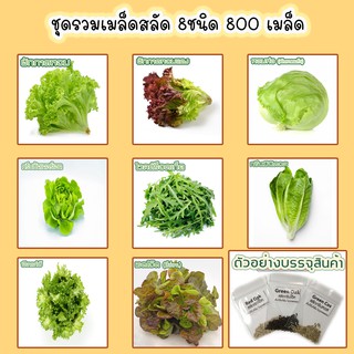 [ชุดรวม2]🌱เมล็ดผักสลัด 8 ชนิด 800 เมล็ด 109 บาท 📌งอกดีมีคู่มือการปลูก  / ผักอินทรีย์ ผักสลัด เมล็ดสลัดรวม เมล็ดผัก