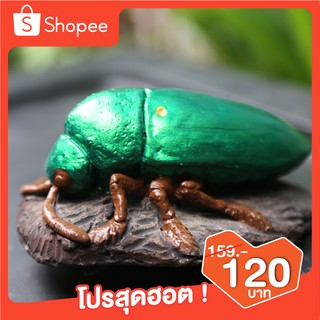 รูปปั้น ปูนปั้น ตุ๊กตาปูนปั้นรูปแมลงทับ แมลงทับ (Jewel Beetle) แต่งสวน แต่งบ้าน รูปปั้นแมลงทับ แมลงทับสีเขียว ใช้วางหรือ