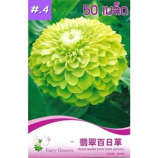 เมล็ดดอกบานชื่น คละสี 50เมล็ดเมล็ด  (สีชมพู)บานชื่นซ้อน Zinnia Flower  เมล็ดพันธุ์นำเข้า   พันธุ์แท้100%  FL-02401