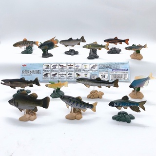 กาชาปอง โมเดลสัตว์ ปลาจิ๋ว ฟิกเกอร์ปลา Freshwater Fish Collection vol. 1 Gashapon (Set of 13) by Yujin