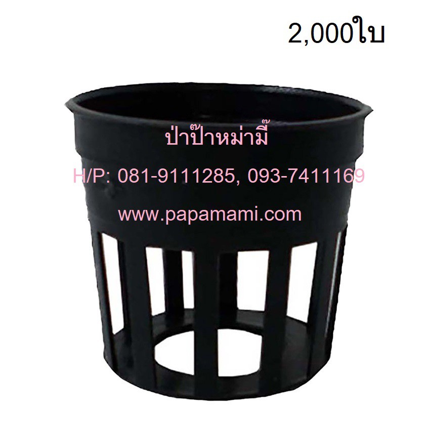 My Image 78
