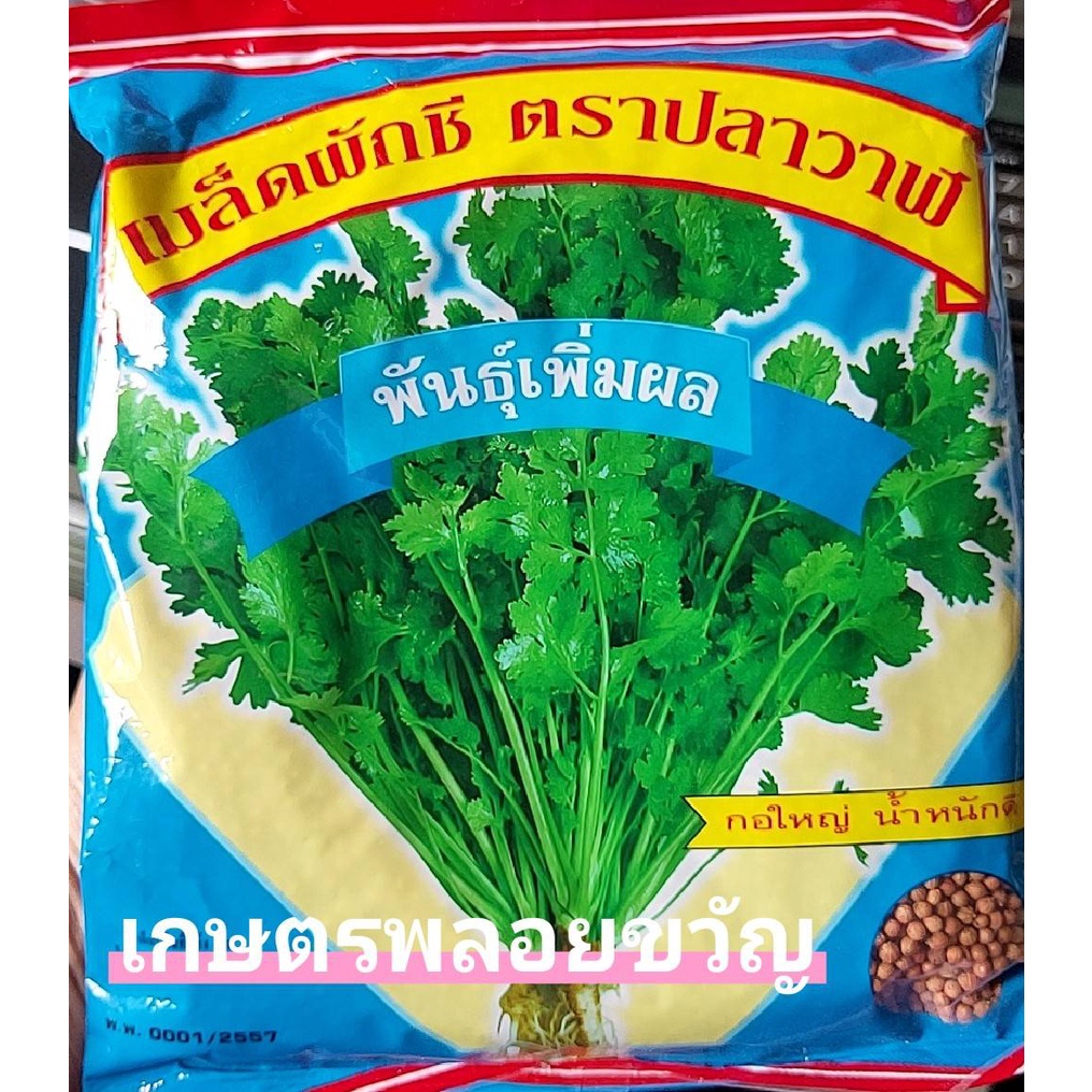 เมล็ดพันธุ์ ผักชี ผักหอมป้อม 🍀🥦พันธุ์เพิ่มผล ตราปลาวาฬ บรรจุ300กรัม✔