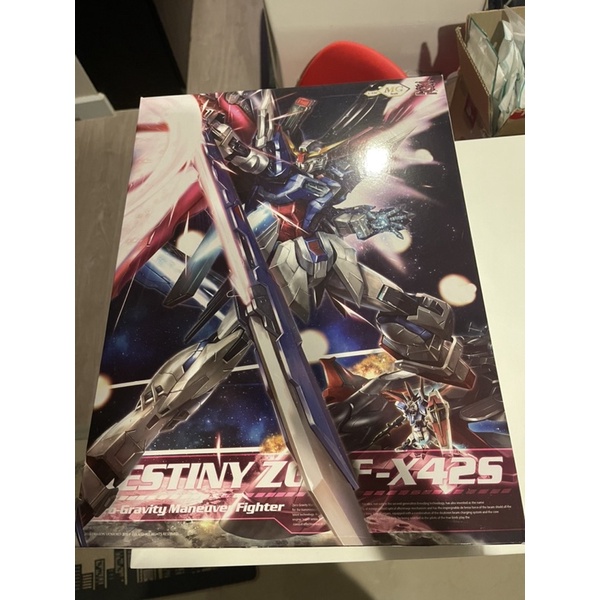 Destiny Gundam Dragon Momoko