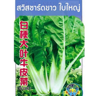 เมล็ด สวิสชาร์ด สีขาว ก้านขาวใบใหญ่ Swiss Chard บรรจุ 700 เมล็ด