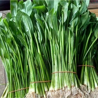 ผักพาย เมล็ดผักพายน้อย เมล็ดพันธุ์ผักพาย ผักพื้นบ้าน [ซื้อ 10 แถม 1 คละได้]