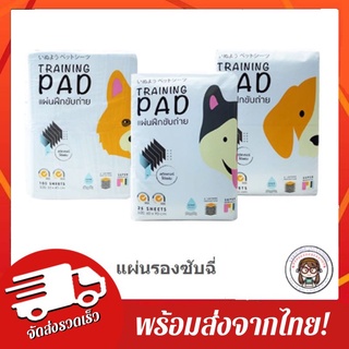 Sale!!ล้างสต๊อก มีชำระปลายทาง พร้อมส่ง! ส่งไว! Hajiko มีเทปกาว แผ่นรองซับสัตว์เลี้ยง แผ่นรองฉี่สุนัข สุดคุ้ม