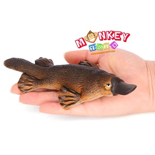 Monkey Toys - โมเดลสัตว์ ตุ่นปากเป็ด แดง ขนาด 17.50 CM (จากหาดใหญ่)