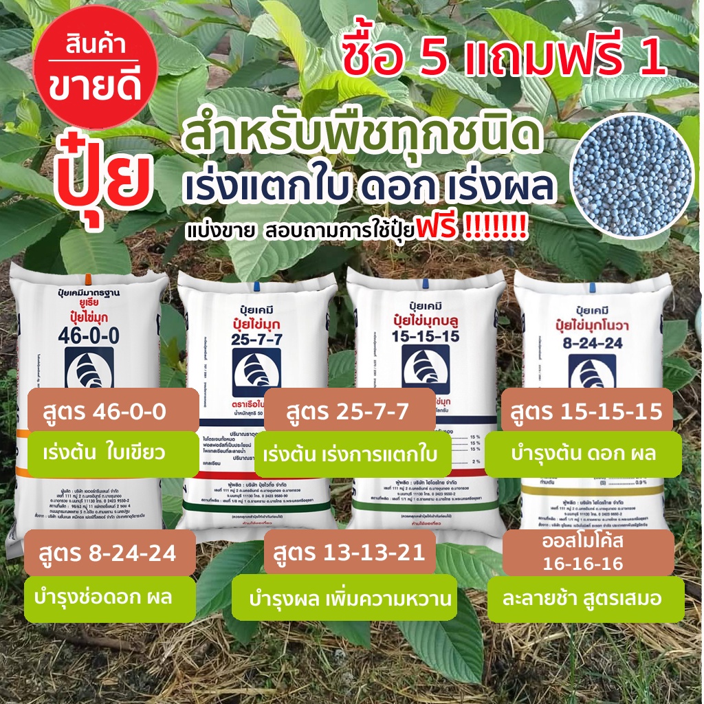 🔥ซื้อ5แถมฟรี1🔥ปุ๋ยเคมี​ ปุ๋ยบํารุงใบ​ บํารุงต้นไม้​ กระท่อม​ ดอกไม้  46-0-0 15-15-15  25-7-7 8-24-24