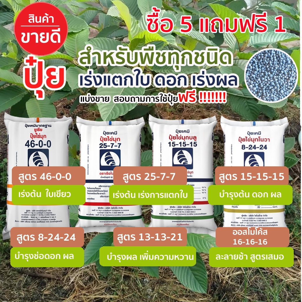 🔥ซื้อ5แถมฟรี1🔥ปุ๋ยเคมี​ ปุ๋ยบํารุงใบ​ บํารุงต้นไม้​ กระท่อม​ ดอกไม้  46-0-0 15-15-15  25-7-7 8-24-24 16-16-16 ยูเรีย