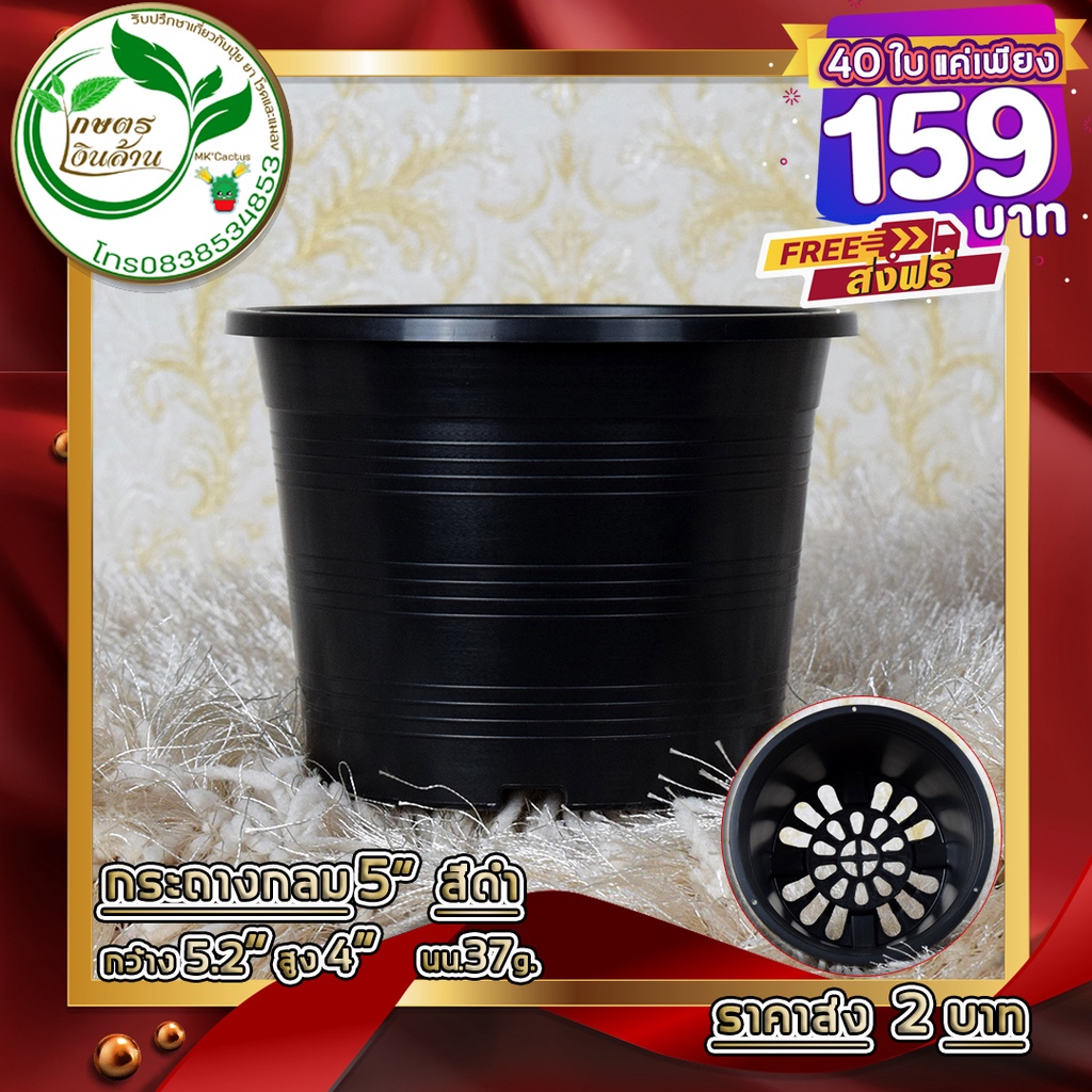 [ถูกที่สุด]กระถางเกรดAAA 10 นิ้ว 25 ใบ 169บาท By.คิม เกษตรเงินล้าน